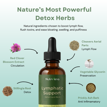 Lymphatic Drainage Support